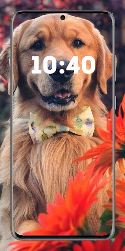 puppy wallpaper cute wallpaper