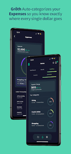 Grôth: Virtual Money Mentor Screen 3
