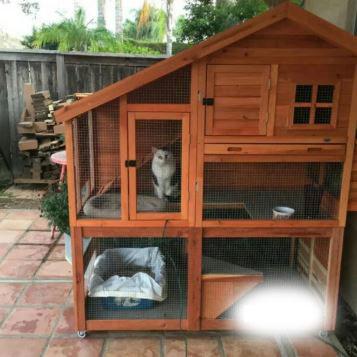 Pet Cat House Gallery