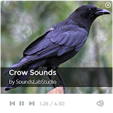 Crow Sounds icon