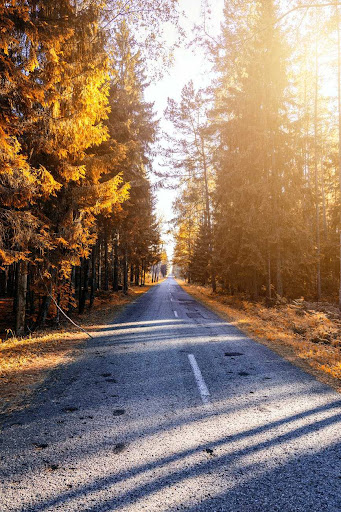 Android application 8k Wallpaper Photos screenshort