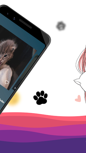 Fondos de pantalla de gatitos Screen 2