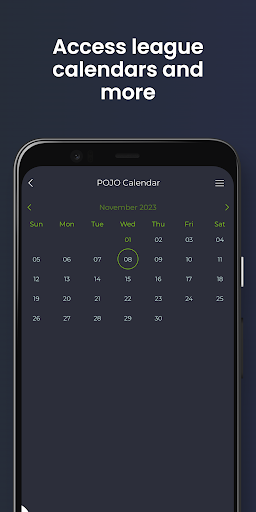 POJOSoftball Screen 3