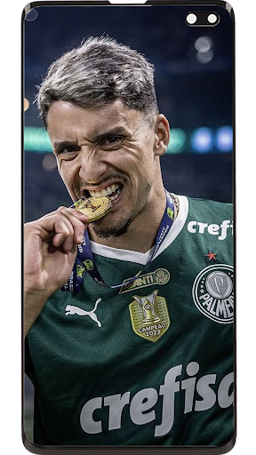 Palmeiras Wallpapers