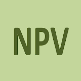 Net Present Value Calculator icon