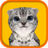 Cat Simulator HD icon