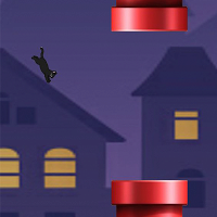 Night Cat