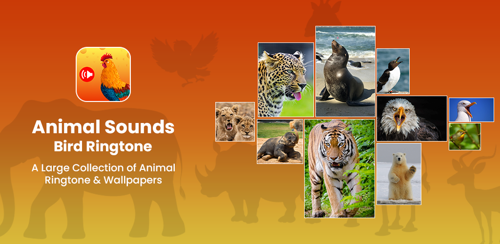 Animal Ringtones & Sounds - Latest version for Android - Download APK