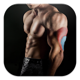 Bodybuilding & Fitness Workout icon