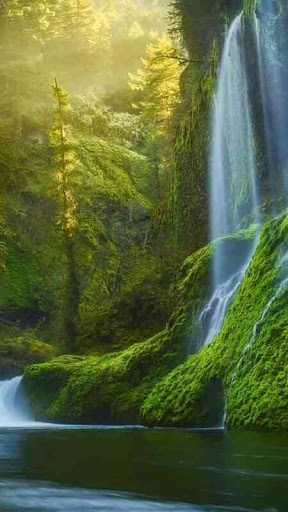 Wallpaper For Android HD Screen 3