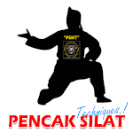 Cover Image of Tải xuống Pencak Silat Techniques  APK