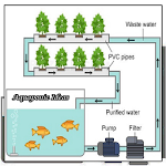 Cover Image of Télécharger Aquaponics Ideas  APK