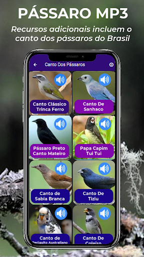 Canto De Papa-Capim viviti - Apps on Google Play