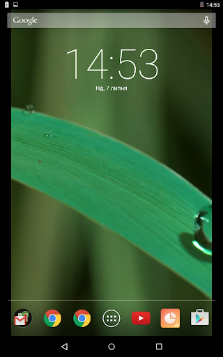 Morning Dew Live Wallpaper