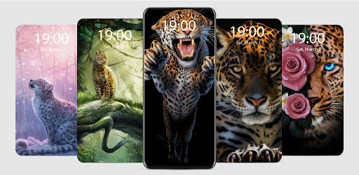 Android application Leopard Live Wallpaper Paralla screenshort