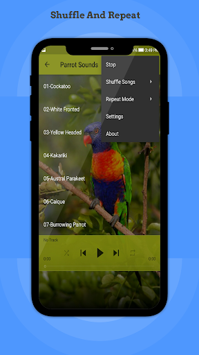 Parrot Sounds Screen 3
