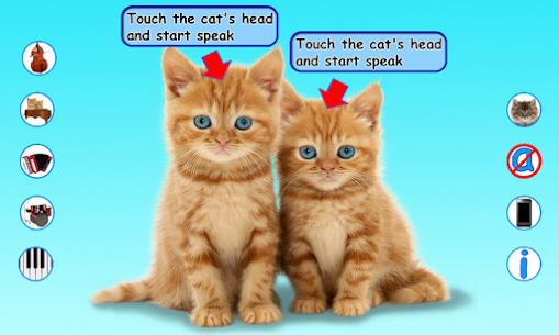 Talking Cats For PC 1