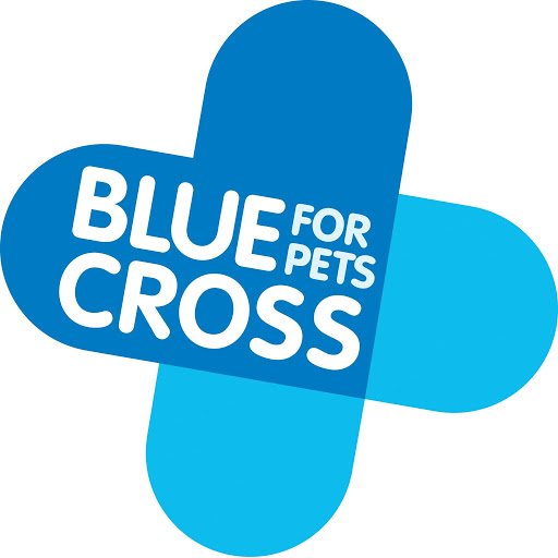 Blue Cross Volunteering powere logo