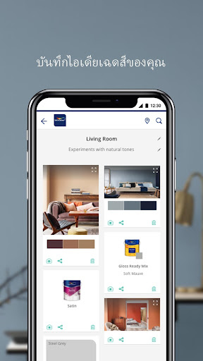 Dulux Visualizer TH LA Screen 3