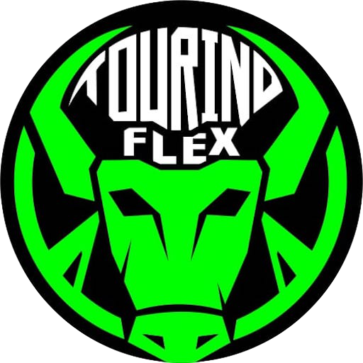 Tourino Flex - Passageiro logo