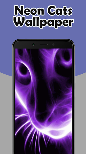 Neon Cat Wallpaper 3D HD