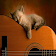 Cat Sound Games 40 icon