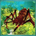 App herunterladen Spider Sims: Insect Tarantula Installieren Sie Neueste APK Downloader