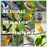 Kicau Burung Master Lengkap icon