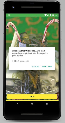 Screen Video Capture Tool Screen 2