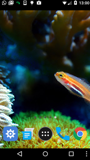 sea life wallpaper Screen 2