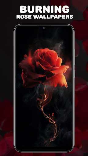 Rosely Wallpaper: Black & Gold Screen 3