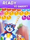 screenshot of Tomcat Pop: Bubble Shooter