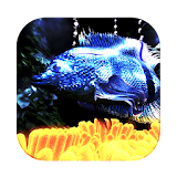 3D Fish Live Wallpaper icon