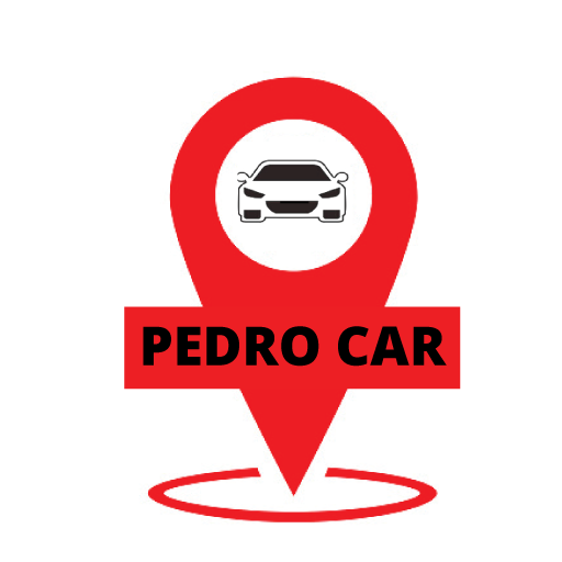 Pedro Car - GPS logo