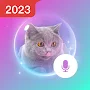 Pet Translator-Cat Game APK icon
