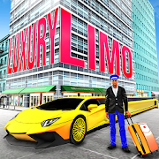Luxury Limo Taxi Driver City : Limousine Driving