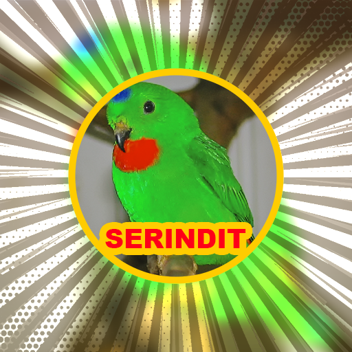 Suara Serindit: Hanging Parrot Screen 3