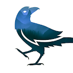 Cover Image of Download Raven's Night  APK