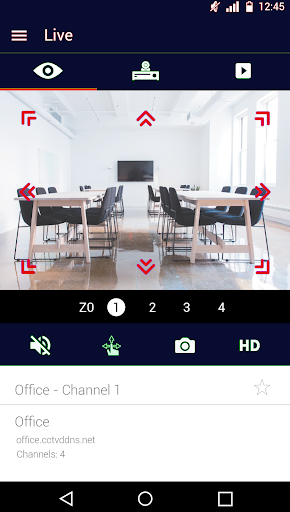 ELECTROSECURE EasyView Screen 2