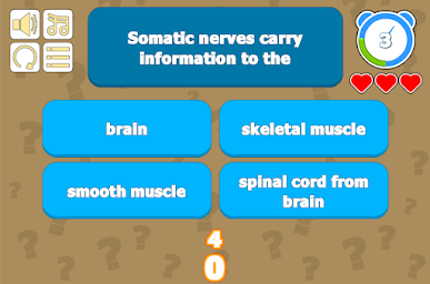 Nervous System Quiz - Anatomy & Physiology