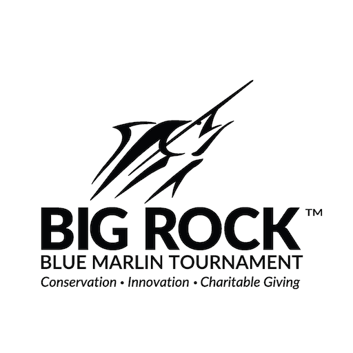 The Big Rock Apps on Google Play
