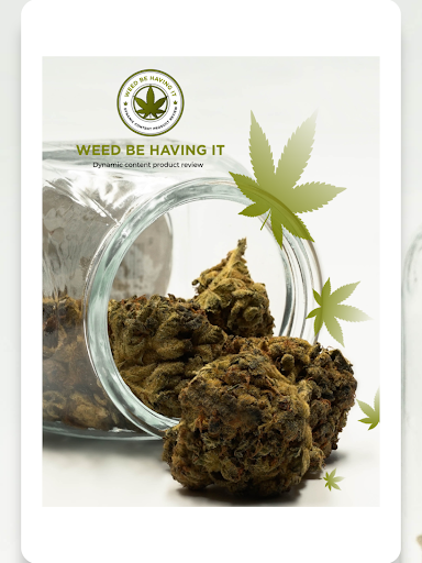 Android application STORE WEED BE HAVING IT screenshort