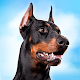 Doberman Dog Simulator Download on Windows