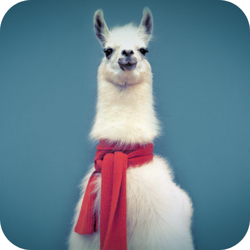 Lama 3D Video Live Wallpaper logo