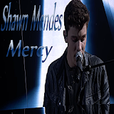 Shawn Mendes Mercy icon