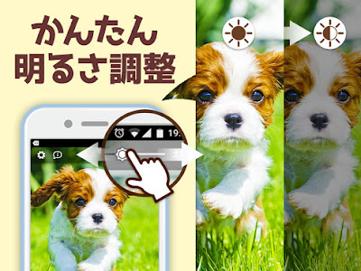 [最も好ましい] 犬 可愛い 壁紙 199099