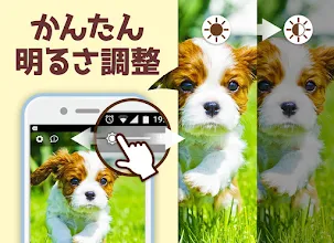 犬の可愛い壁紙 Google Play のアプリ