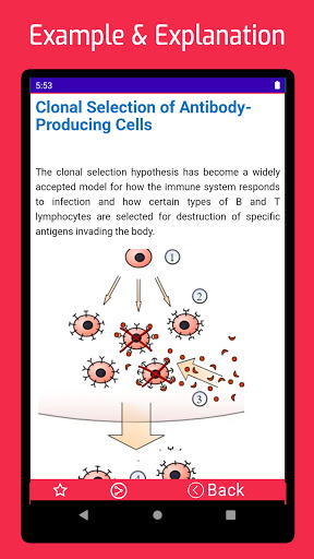 Immunology Screen 3
