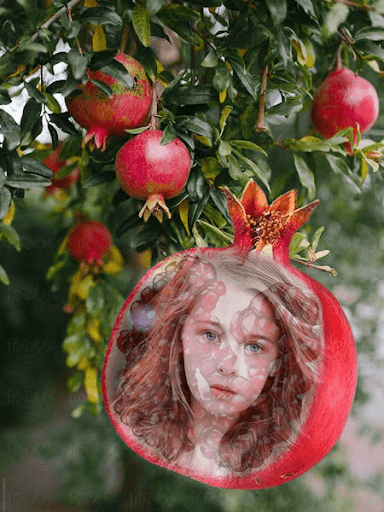 Android application Fruit Photo Frames screenshort