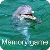 Dolphins Memory Game icon